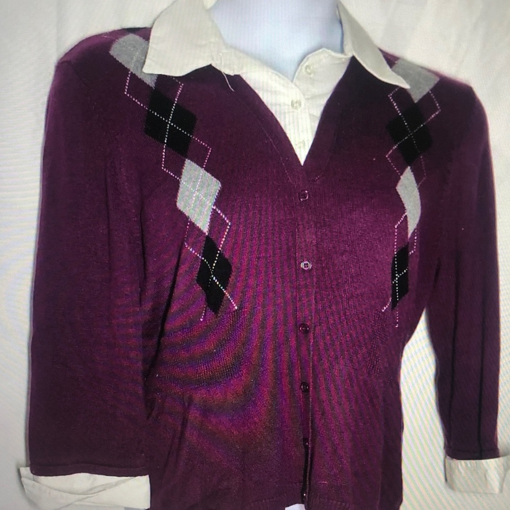 Stylish Plum Sweater with Cream Details